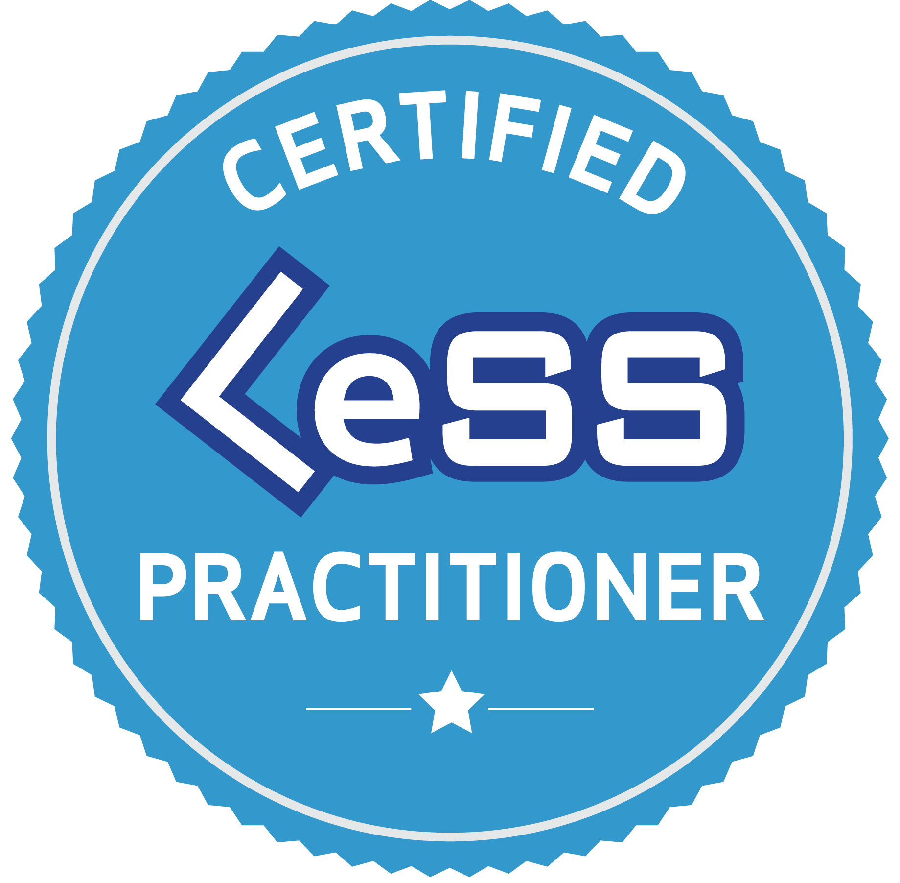 certified LeSS practitioner
